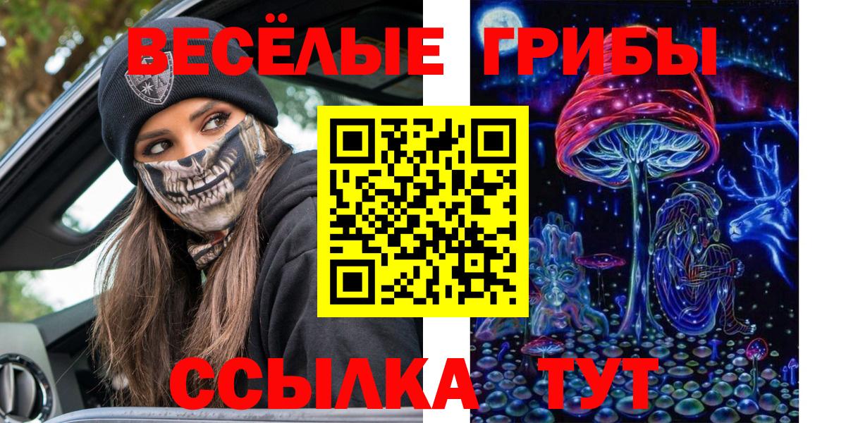 Галлюциногенные грибы Psilocybe Нижнеудинск