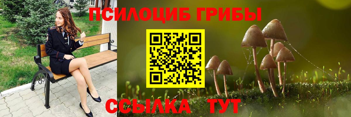 Нижнеудинск  Галлюциногенные грибы Psilocybe  Вход с VPN 
